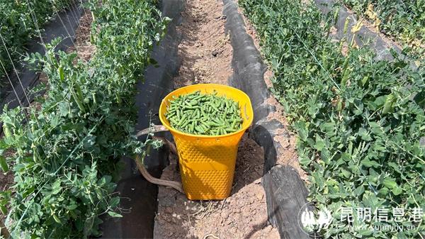 微信圖片_20240508162131