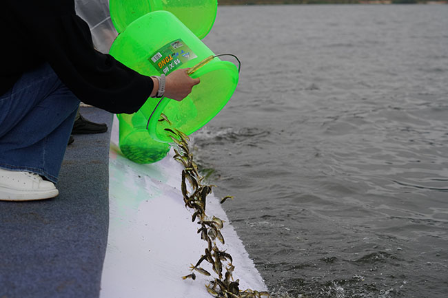 a_973702937538719751