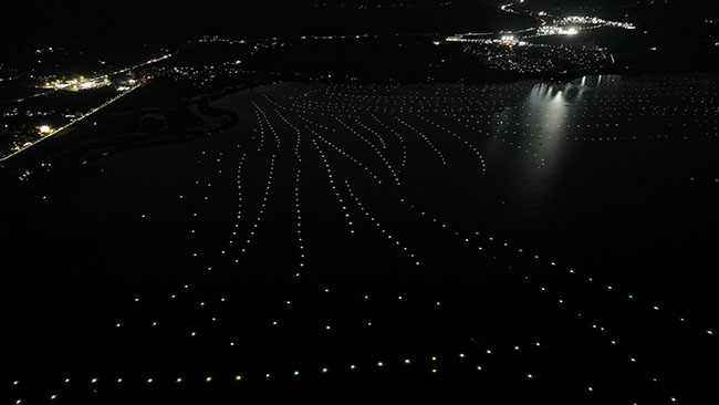 a_973702937538719752