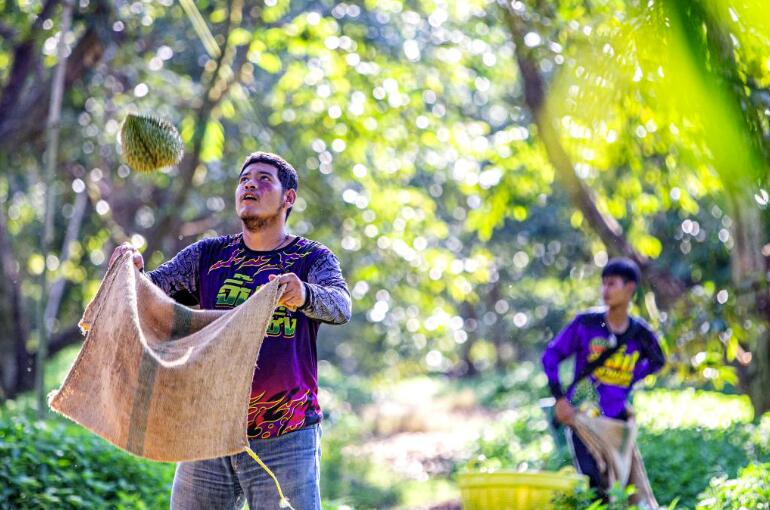 QQ截圖20240514145955