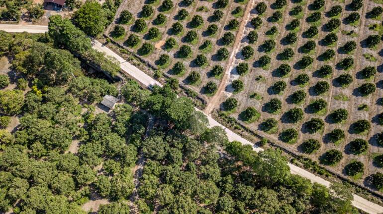 QQ截圖20240514150005