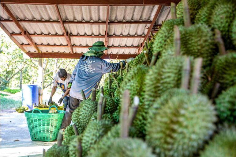 QQ截圖20240514150034