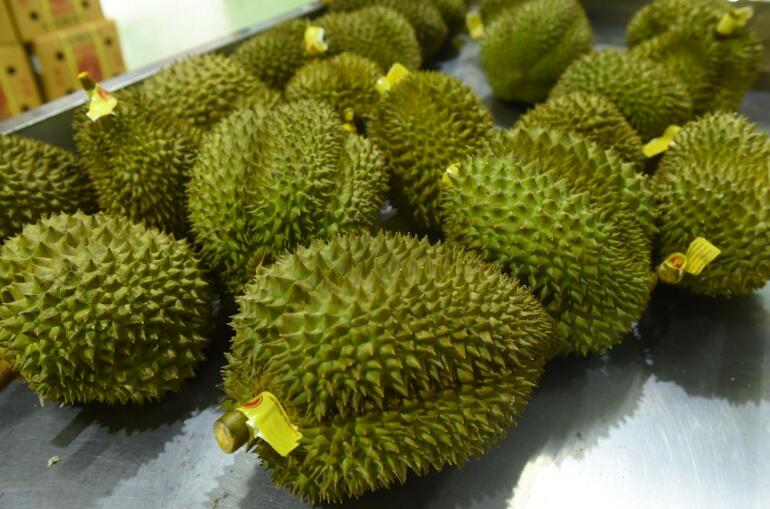 QQ截圖20240514150044