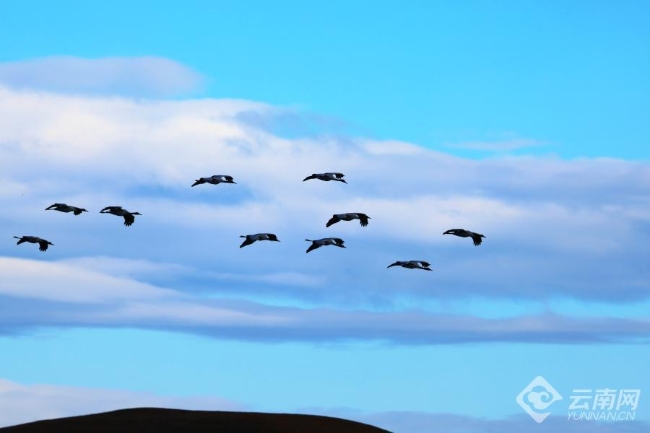 00306207765_3962bb87