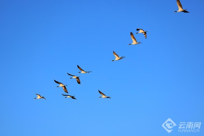 00306207768_ff2ca93d