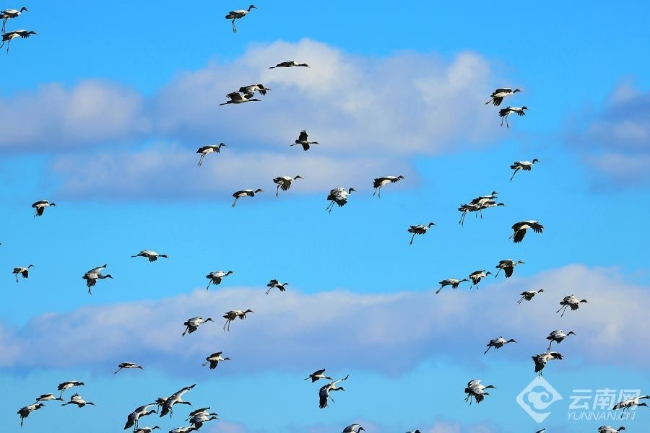 00306207785_17b68c03