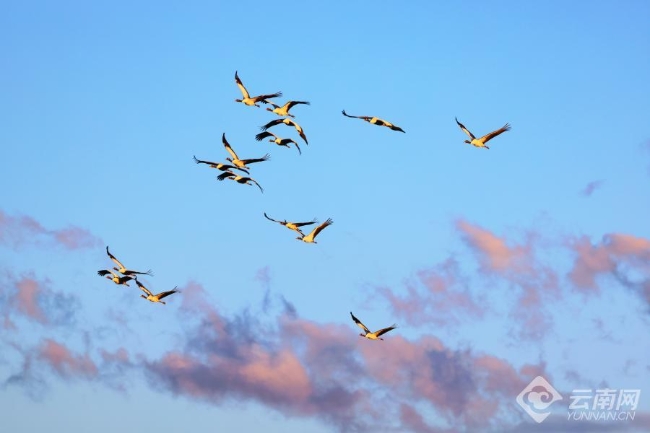 00306207786_63bcf75e