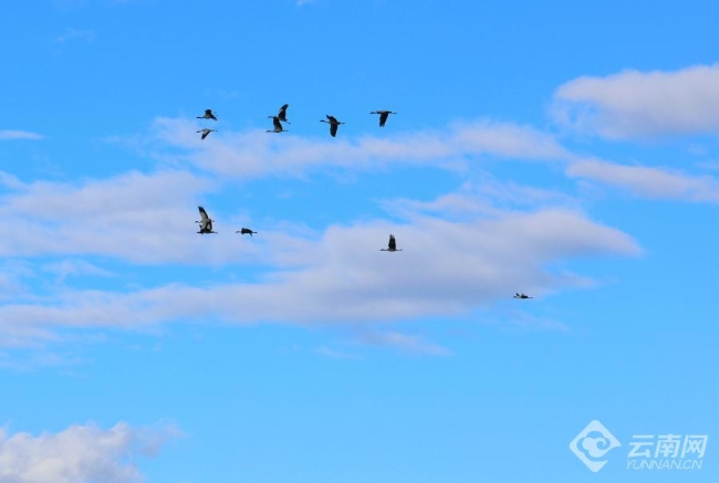 00306207789_4da5c3cc