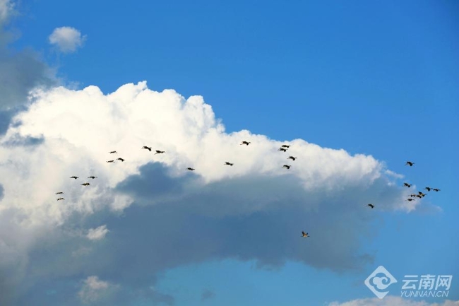 00306207792_94e83f5c