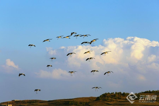 00306207794_8f75ad61