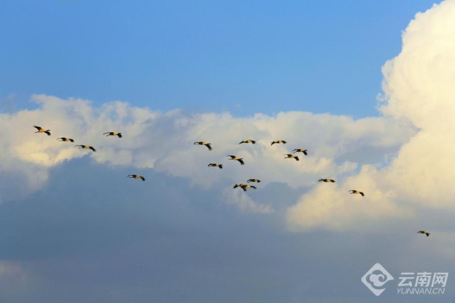 00306207795_51001c3d