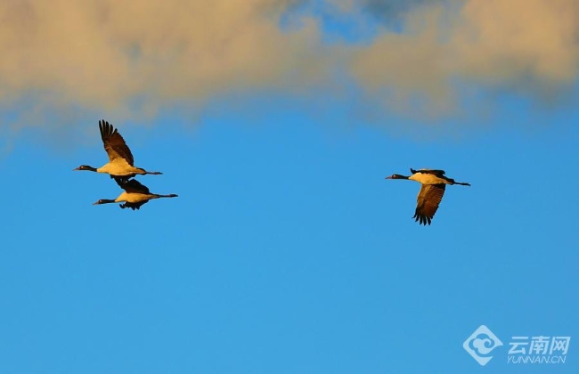 00306207797_f9b0061b