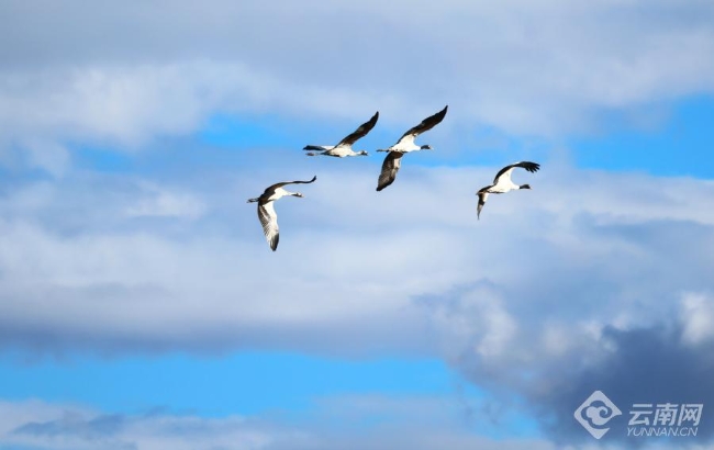 00306207798_d7ccf1a1