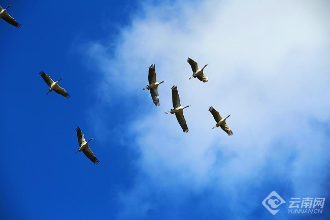 00306207821_63d03174