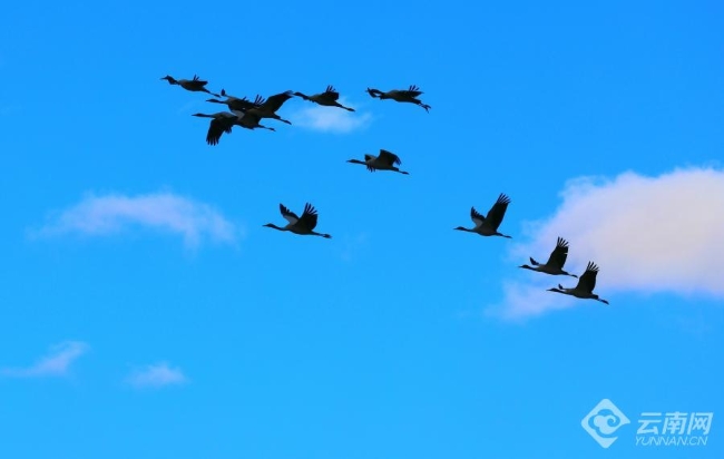 00306207822_7f838bcd