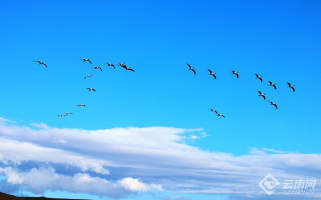 00306207823_7397daf8