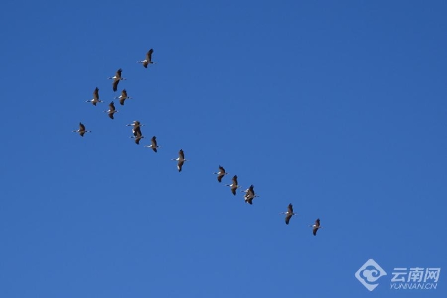 00306207825_4f079882