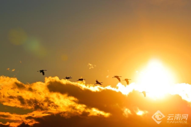 00306207833_e7026fd6