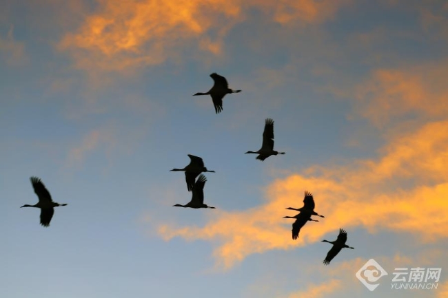 00306207834_361fbcf6