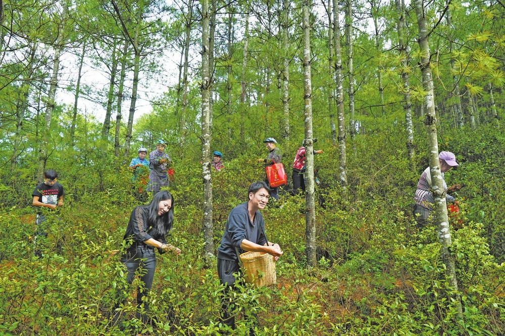 企業(yè)微信截圖_17162559744753