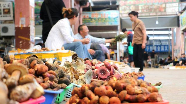 云南木水花野生菌市場菌飄香(圖源 云新聞)