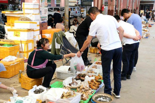 云南木水花野生菌市場菌飄香(圖源 云新聞)