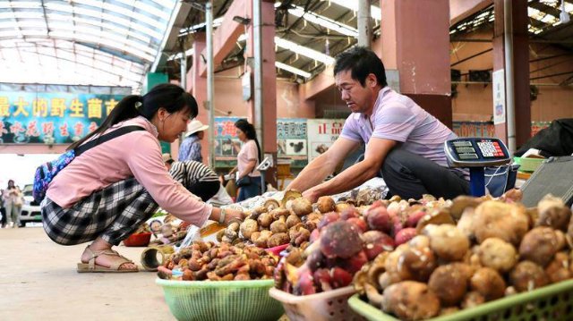 云南木水花野生菌市場菌飄香(圖源 云新聞)