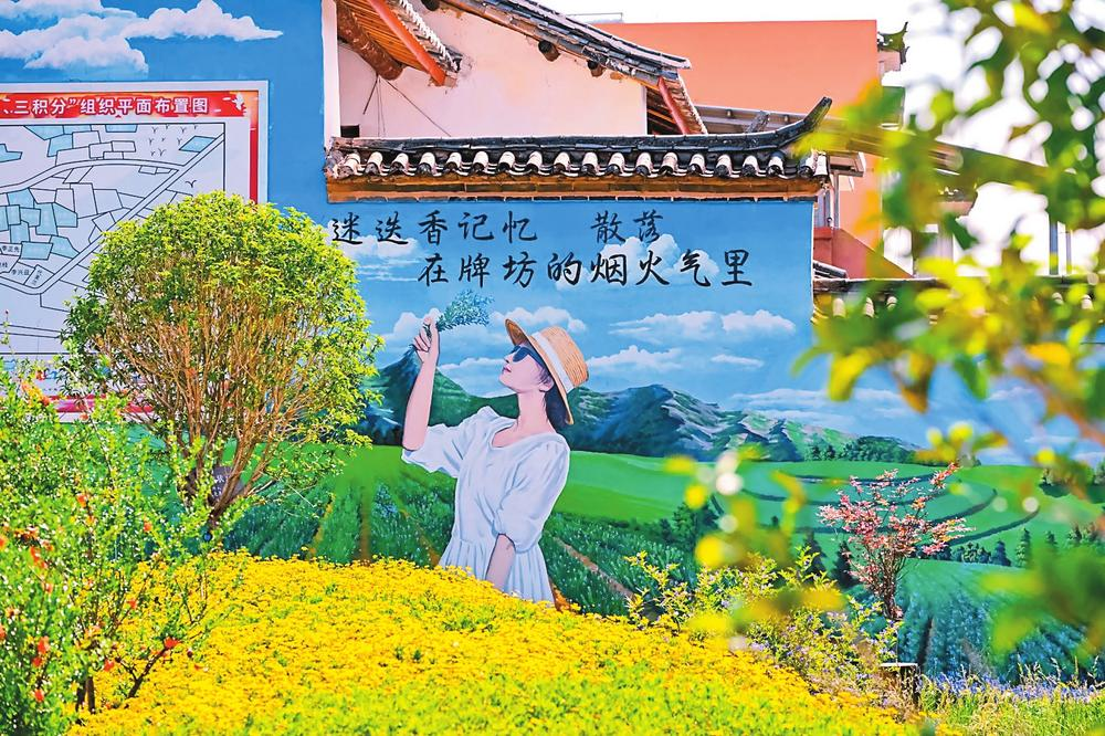 微信圖片_20240603082830 微信圖片_20240603082830