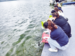 放流魚(yú)苗 ■ 都市時(shí)報(bào)全媒體記者 姜潔 放流魚(yú)苗 ■ 都市時(shí)報(bào)全媒體記者 姜潔