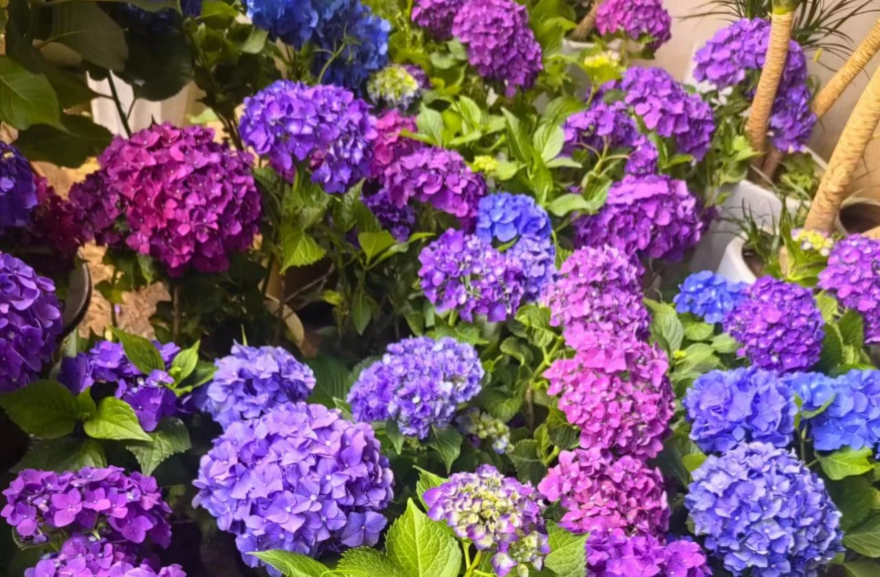 1717661838725862.jpg 6.jpg