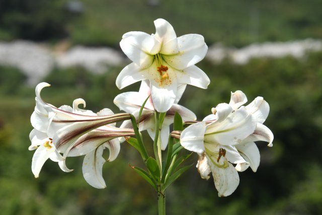 龔強(qiáng)幫 攝影 (2).jpg