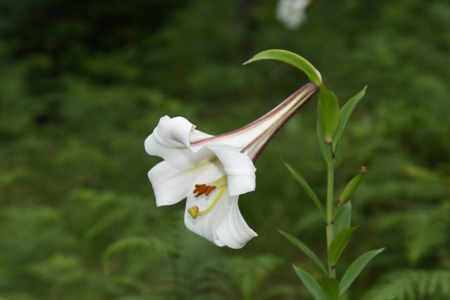 龔強(qiáng)幫 攝影 (3).jpg