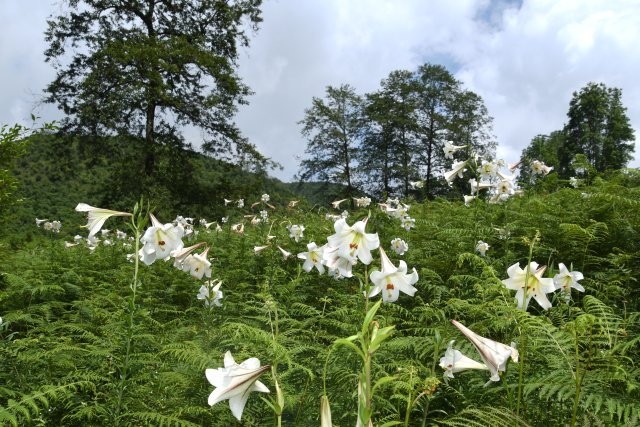 龔強(qiáng)幫 攝影 (1).jpg