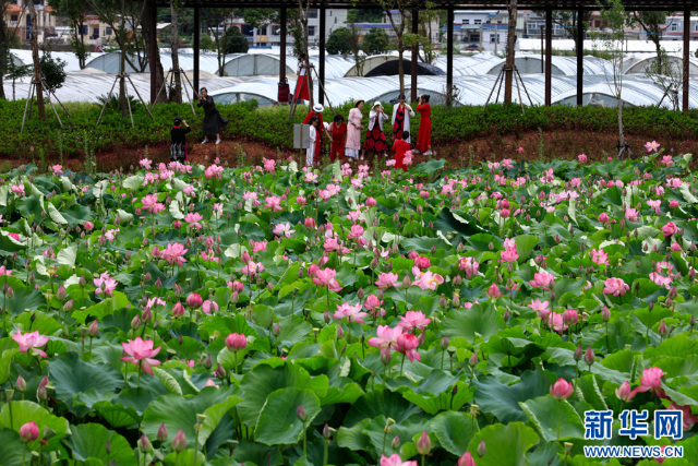 20240625a2fc75703f8040958dc805cb6bf207f4_20240625b3ca86239266481fa99e29538e9ac6b6 20240625a2fc75703f8040958dc805cb6bf207f4_20240625b3ca86239266481fa99e29538e9ac6b6