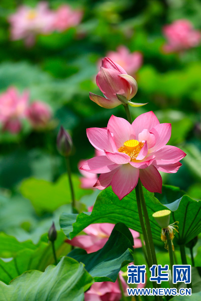 20240625a2fc75703f8040958dc805cb6bf207f4_20240625447f53b1f9db4942908c976c76ceddb8 20240625a2fc75703f8040958dc805cb6bf207f4_20240625447f53b1f9db4942908c976c76ceddb8