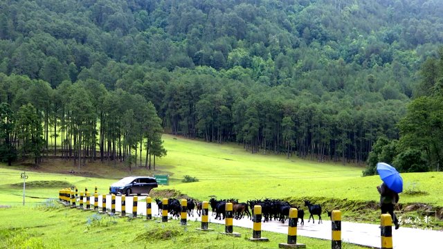 （采訪傳編輯）別擔(dān)心人擠人了！來(lái)大理感受“農(nóng)村公路+生態(tài)旅游”新體驗(yàn)