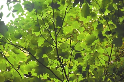 微信截圖_20240712081124