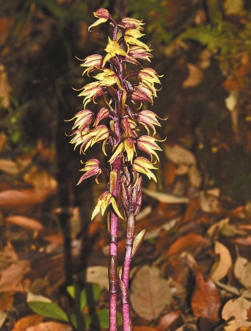 微信截圖_20240712081136