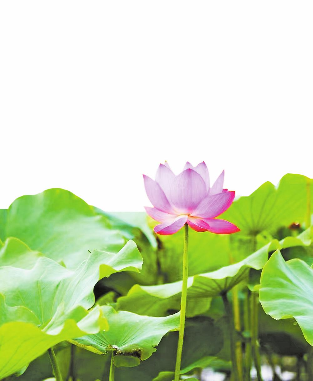 微信圖片_20240716080816