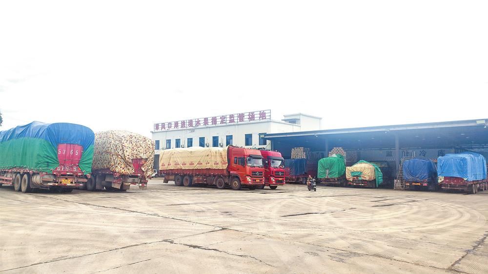 微信圖片_20240717082402 微信圖片_20240717082402