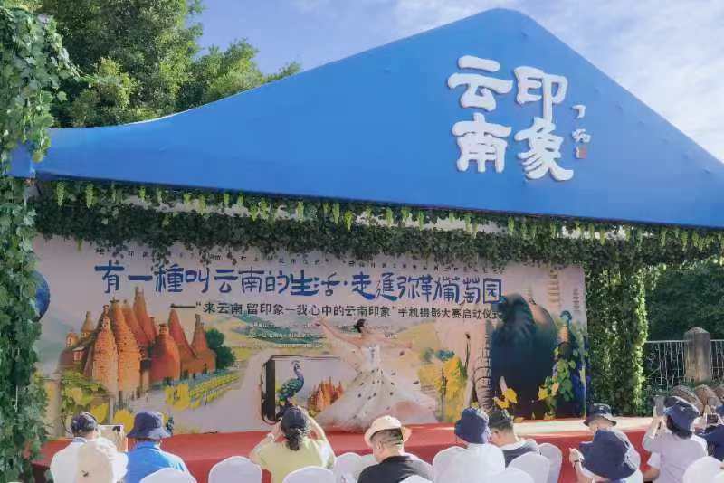 WechatIMG310 WechatIMG310