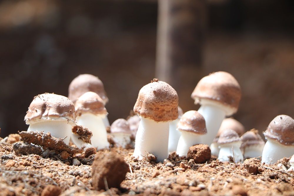 1721437784825775.jpg 71.jpg