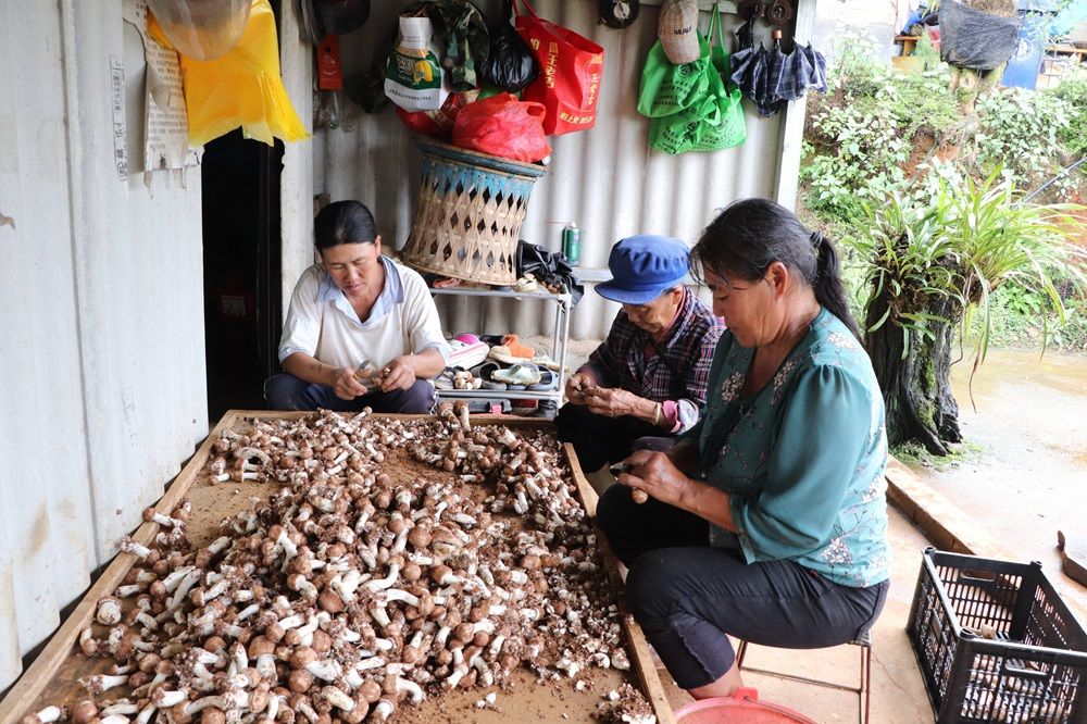 1721437799394091.jpg 72.jpg