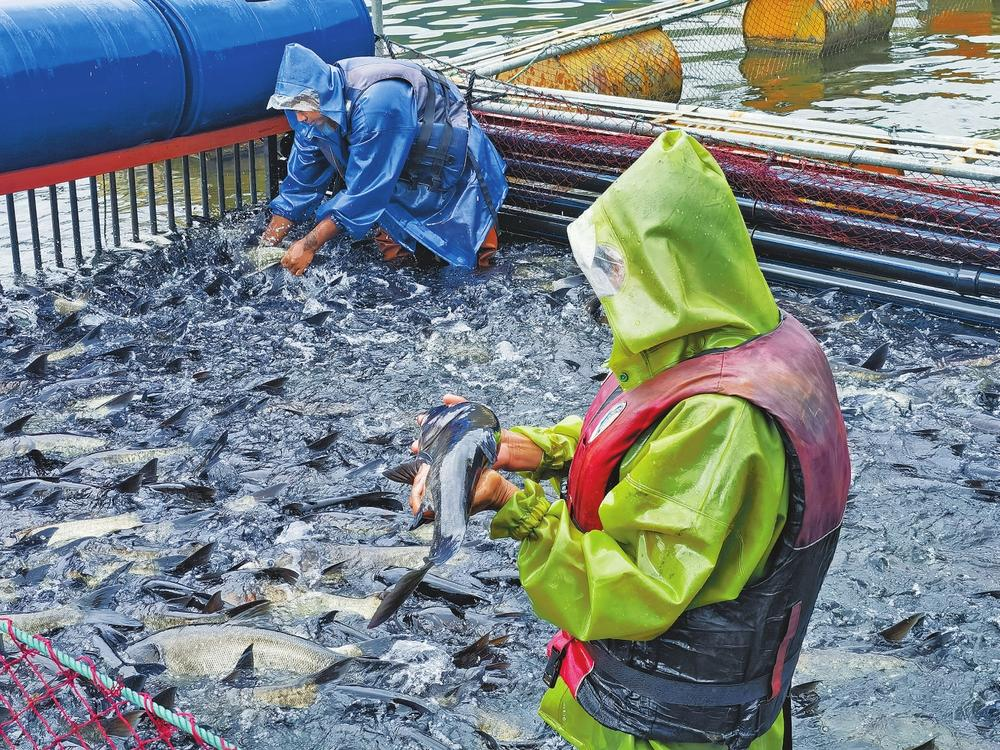 微信圖片_20240722113235