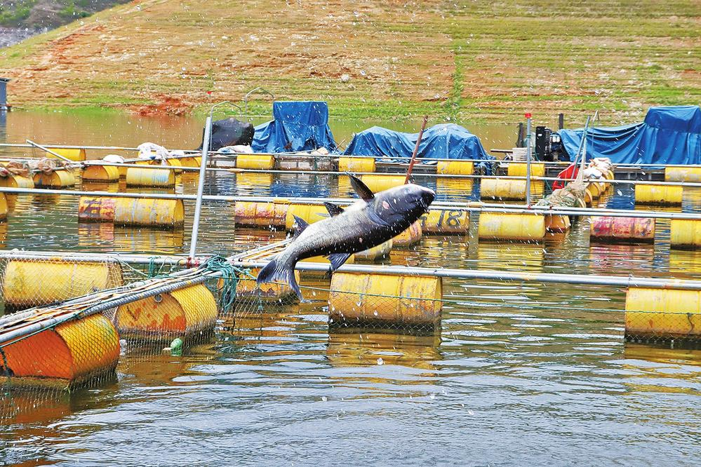 微信圖片_20240722113239