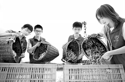 教育評價多維，學生成長多樣