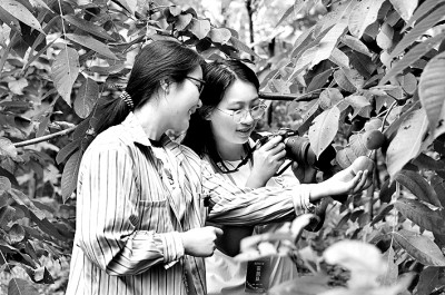 教育評價多維，學生成長多樣