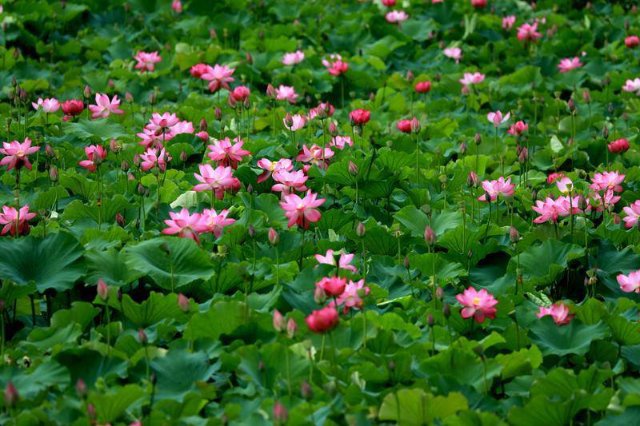 4（圖源 云新聞客戶端）.jpg