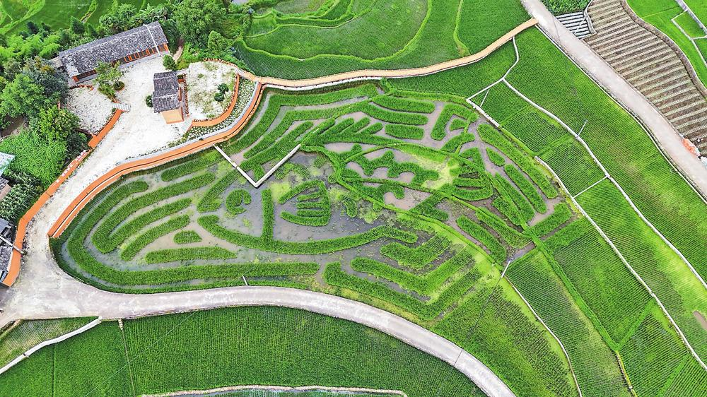 企業(yè)微信截圖_17217790507529 企業(yè)微信截圖_17217790507529