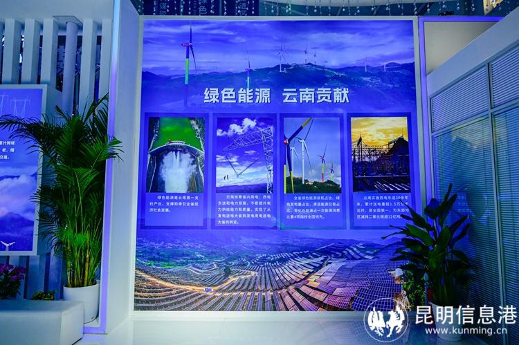 _DSC5814-opq3120021211 _DSC5814-opq3120021211